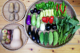 【農薬・化学肥料不使用】イチジク付き野菜セット【６～８種類の野菜】【火・金曜日クール便で発送】【あわせ買い可】【熨斗(のし)対応可】（８０サイズ箱）
