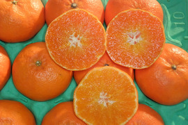 プチプチ甘～い！ひめまる甘平【優品・３Kg】