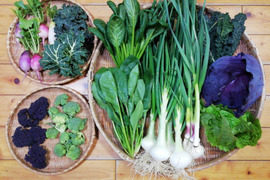 【農薬化学肥料不使用】葉付きタマネギ入り野菜セット【８種類以上の野菜】【熨斗(のし)対応可】【８０サイズ箱】