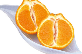 【豊作につきセール】産地直送・わけありデコしらぬい(7kg)　ご自宅用　愛媛県産