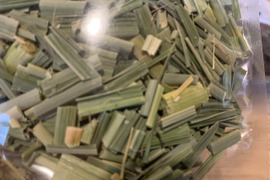 奥出雲産自然栽培まこも茶(大容量500g)