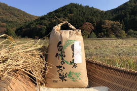 【令和4年産特別栽培米・白米10kg】
超大粒“米王”‼️甘くてモチモチ、香りの良い能勢天神米。
