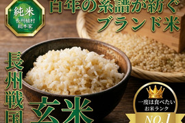 🎊今だけ1キロ増量中🎊【一度は食べたい“日本全国No.1米”】全国誌に選ばれた伝統米農家🌾百年の系譜を継ぐ名門長州植村総本家が生み出す『長州戦国玄米』新米約5㎏＋1キロ【冬ギフト】【11月下旬予約】