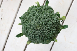 小さめブロッコリー ２株　高知県産