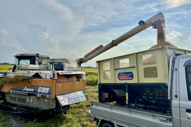 米　30キロ 30kg～ – 俵屋 兵米衛