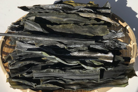 【訳あり】たっぷり900g！ 天然黒昆布