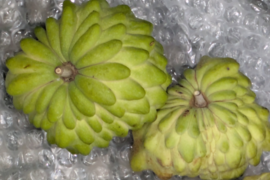 訳あり！？甘くて体に嬉しい！熊本県産アテモヤ（約１ｋｇ）