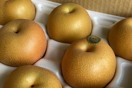 愛情たっぷり【豊水梨】箱込み5ｋｇ（12～14個）本州の方限定