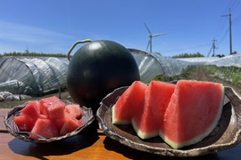 【予約販売】旬の美味しさ！げん喜玉すいか 8kg-10Kg