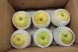 【大玉＋特大】かおり 3kg (6玉入)《少しだけお手頃価格》