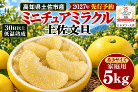 土佐文旦 ミニチュアミラクル5kg 家庭用｜希少な食べ切りサイズ｜約16～22玉｜発祥の地・高知県土佐市産｜30日以上低温熟成｜日本ギフト大賞受賞｜柑橘のお取り寄せ｜2027年先行予約｜やの一果彩