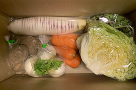 【自然栽培】3~5品目のお野菜セット Sサイズ