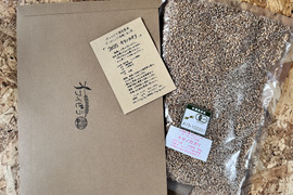 キタノカオリ 900g　オーガニック（有機）玄小麦 2025年産　※小麦粉じゃないよ