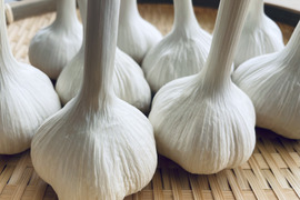 農薬・化学肥料栽培中不使用！栄養満点のニンニク500g