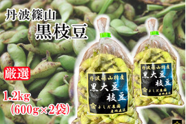 丹波篠山 黒枝豆 1.2kg( 600g × 2袋 ) 【令和7年新豆・予約販売】 産地直送 期間限定 贈答用にも最適 大粒 最高級 さや 枝豆
毎年完売 今しか味わえない 丹波篠山黒枝豆 数量限定