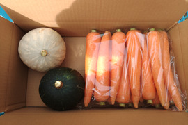 【野菜3種セット】　彩誉ニンジン 2.5kg　×　白爵かぼちゃ 1個（600g）　×　栗政宗かぼちゃ 1個（600g）