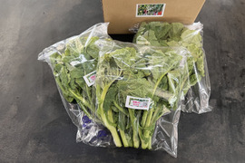 ☆有機JAS認証☆菜花600g