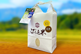 【令和7年産】栽培期間中農薬不使用【亀の尾】玄米・2kg　あっさりとした上品な味わい　こぴっと米