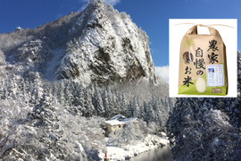 【令和6年新米】【山奥の旨い米】新潟コシヒカリしただ産白米5kg（魚沼産コシヒカリにも負けませんよ）#比べて魚沼産コシヒカリ