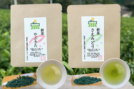 【2026年新茶】旬を飲み切り！ミニギフトにも！
！封筒箱入　やぶきた＆さえみどり　10ｇ×10パック