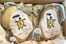 OUTLET SALE- 訳あり品など大放出 れんこんの通販｜野菜｜食べチョク｜産地直送(産直)お取り寄せ 野菜
