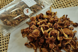 【乾燥なめこ】（45g）京都府産　菌床栽培　農薬不使用