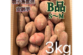 【絶品】種子島産安納芋 B品 小〜中サイズ 3kg(箱別)