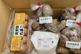 【野菜他詰め合わせセット】令和6年産 農薬不使用米 コシヒカリ 白米 5kg+里芋1.5kg+白米粉500g+美野里たまご10個入り1P