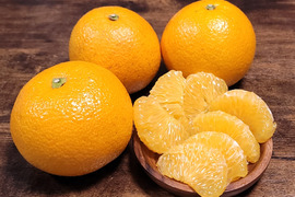 【木なり八朔 ご家庭用 2kg 】こだわりの樹上完熟