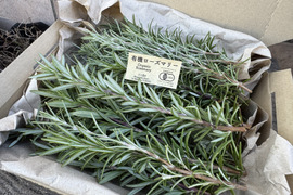 有機ローズマリー・たっぷり２種セット（クロネココンパクト便発送）Xmas限定