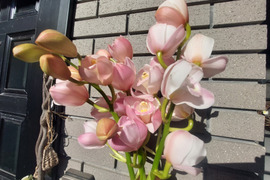 【切り花3本】シンビジウムの切り花