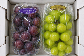 全国 送料無料！種無し皮ごと食べれる糖度16度〜20度以上『シャインマスカット・ニューピオーネ』800g以上2房セット箱入り