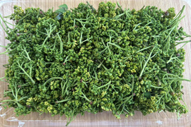 【春の香り】花山椒/はなさんしょう/天然/高級山菜/100g【4/17~18発送】【冷蔵便】