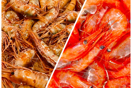 【-60冷凍】ボタンエビvs甘エビ！食べ比べ！2セット