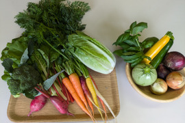 NEW【6月～７月初旬便 お届け】始まったよ！企画　お米１kg＋旬の野菜・農産物詰め合わせ(約6種)　朝採り　新鮮で味の濃い野菜たち