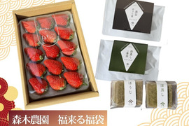 【ゲン担ぎ福袋】森木農園の人気のいちごとお茶のお買い得セット！新春限定　福来る福袋