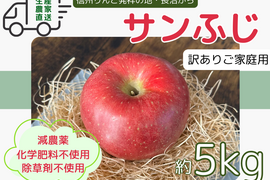 生産農家直送 信州りんご発祥の地 長沼りんご サンふじ 訳あり ご家庭用 5kg 長野県産 化学肥料不使用 除草剤不使用 人にやさしく環境にもやさしい農産物