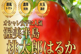 🍅オシャレ女子に人気🍅贈り物に選ばれる冬春トマト☆品種指定キャンペーン『桃太郎はるか』🍅プロが認めた冬春の逸品🍅お試約1kg【ギフト・ご褒美に】【2027年1月上旬予約】