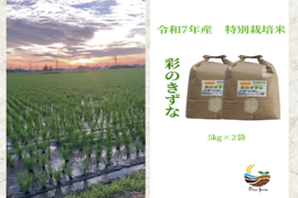 R7年産特別栽培米　彩のきずな　10㎏