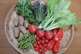 【自然栽培】高原の野菜セットS（７～８品目）
