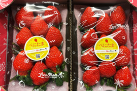【今話題のいちご！】べにたま２５０ｇ×２パックーDXパックー
