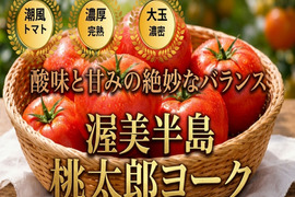 🍅晩酌の一皿が決まるトマト🍅品種指定『桃太郎ヨーク』🍅絆を深める、やさしいうま味🍅お試約1kg【5月下旬予約】