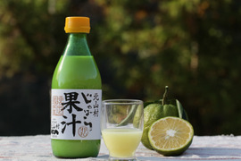 【期間限定予約　搾りたて100％果汁】※12月上旬より順次発送　もぎたてじゃばらをギュッと搾ったままの100％天然果汁　じゃばら果汁360ml×10本