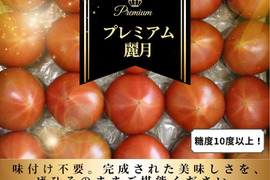 【糖度10度以上】最高ランク！プレミアム麗月