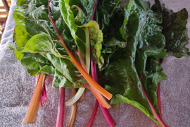 ✨農薬・化成肥料不使用の珍しい野菜スイスチャード300g+水菜500g✨