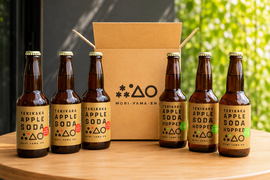 摘果りんご果汁100% ノンアル炭酸飲み比べセット テキカカアップルソーダ&ホップド各3本計6本セット　甘味料・香料・保存料不使用で体にうれしい超さわやか炭酸ドリンク🍹お食事にも合う！！