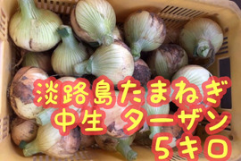 淡路島たまねぎ　【5キロ】　玉ねぎ　中生：ターザン