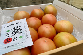 うま味の大玉桃太郎フルーツ塩トマト1.4kg