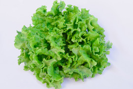 シャキッ！うまっ！星のブーケレタス🥬【リーフレタス】🥬【水耕栽培】1kg　1玉170g〜200g×５〜６玉