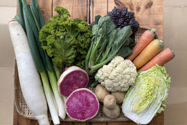 【数量限定】最旬の1品おまけ付！農薬不使用野菜セット(9品)/レシピ付き